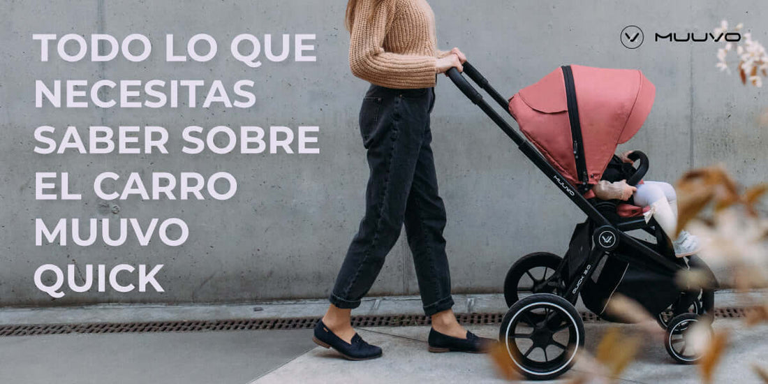 Todo lo que necesitas saber sobre el carro Muuvo Quick